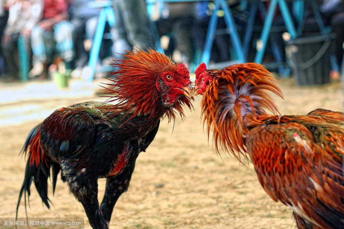 ���������ļ��������а� ��Щ���ļ�����������ƾɶֵ�����