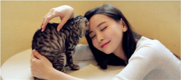 �����Ľ�������Ϲ���˭���������һ�� Ϊʲô˵�����ĵ�������