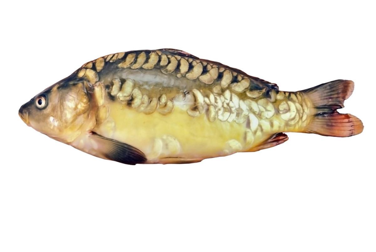 �����㵽���������������ܵ�Ӱ�� ������������ǧ���ܳ���ô˵