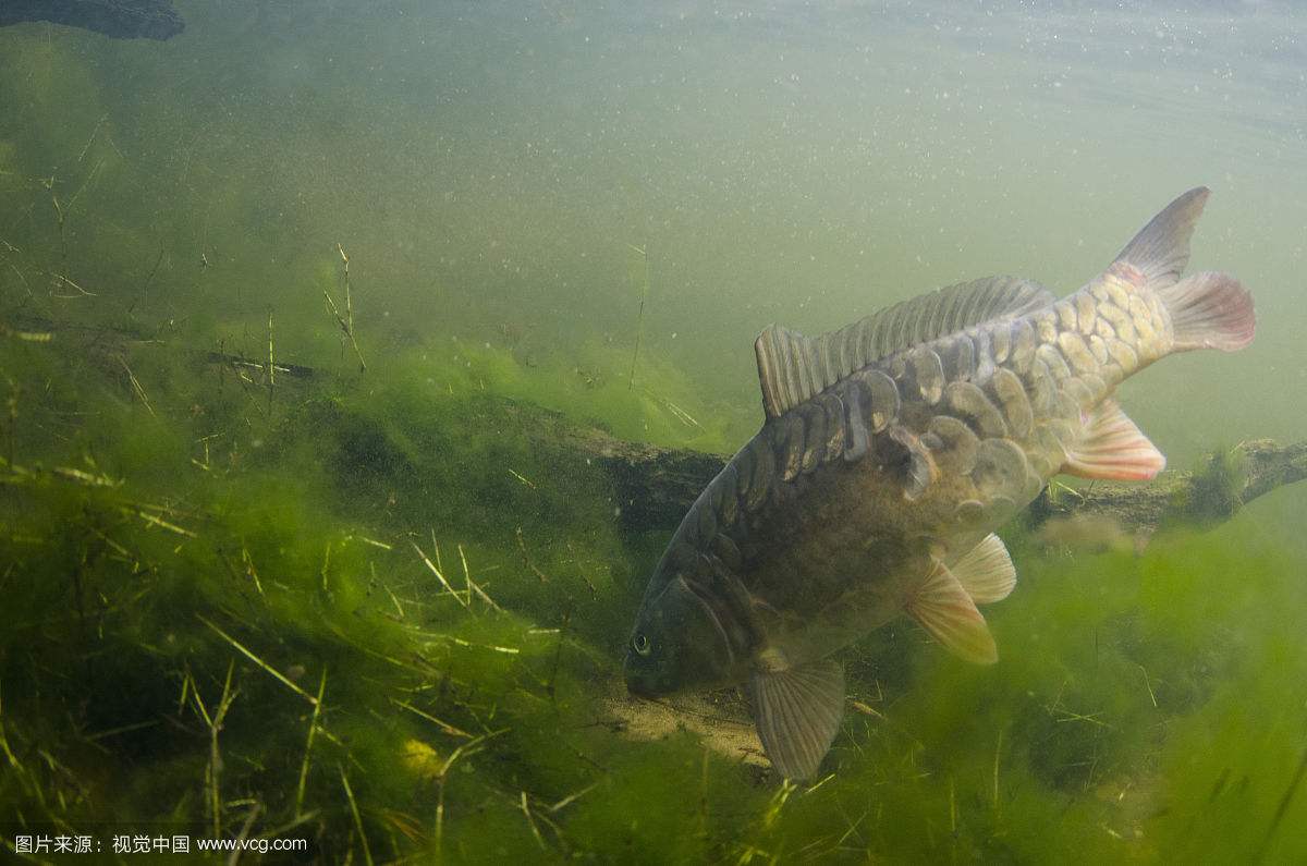 �����㵽���������������ܵ�Ӱ�� ������������ǧ���ܳ���ô˵