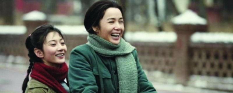 蒋雯丽演的齐之芳是什么电视剧啊