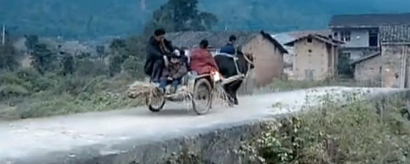 ���Ӿ紺�ݽ����ʲô