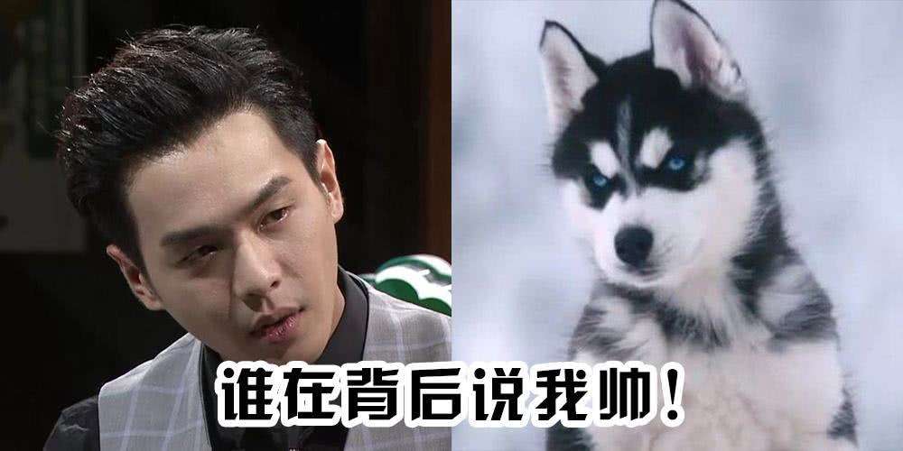 ����������꿴���ڼ�ȴ���س��� ��������㲨�������¼�ʼĩ