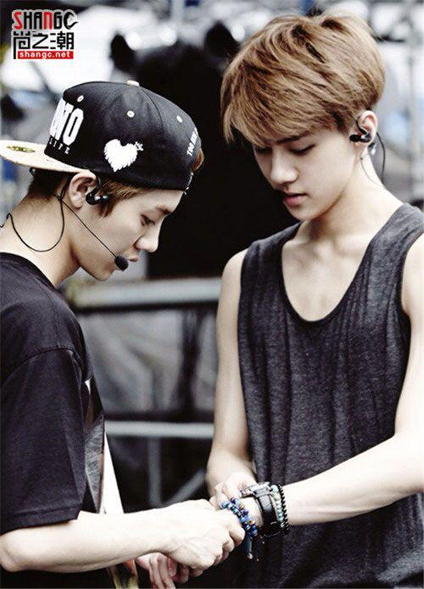 ��ѫ΢���ᵽ��¹�����ڹ�ϵ��� ��ѫ΢����Ƭ��¹����ʲô��ϵ