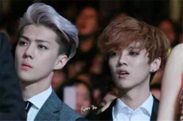 ��ѫ΢���ᵽ��¹�����ڹ�ϵ��� ��ѫ΢����Ƭ��¹����ʲô��ϵ