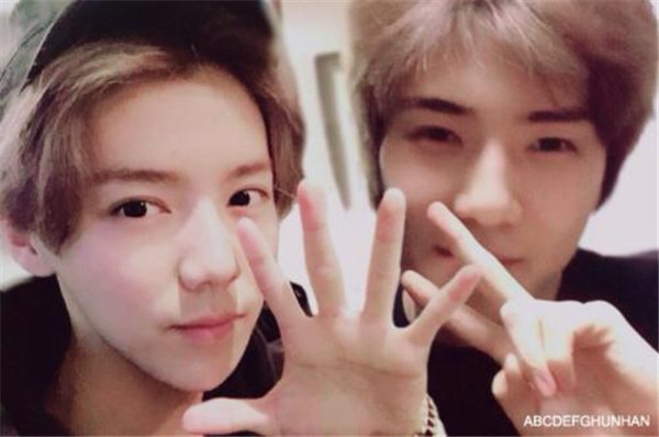 ��ѫ΢���ᵽ��¹�����ڹ�ϵ��� ��ѫ΢����Ƭ��¹����ʲô��ϵ