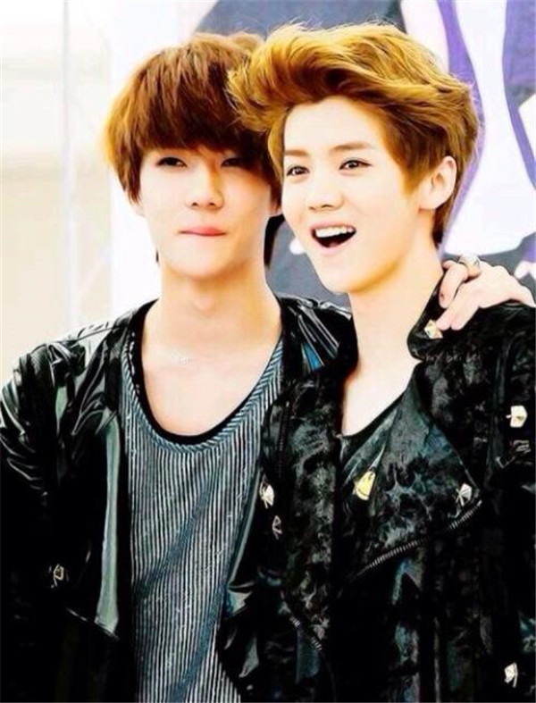 ��ѫ΢���ᵽ��¹�����ڹ�ϵ��� ��ѫ΢����Ƭ��¹����ʲô��ϵ