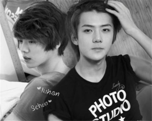 ��ѫ΢���ᵽ��¹�����ڹ�ϵ��� ��ѫ΢����Ƭ��¹����ʲô��ϵ