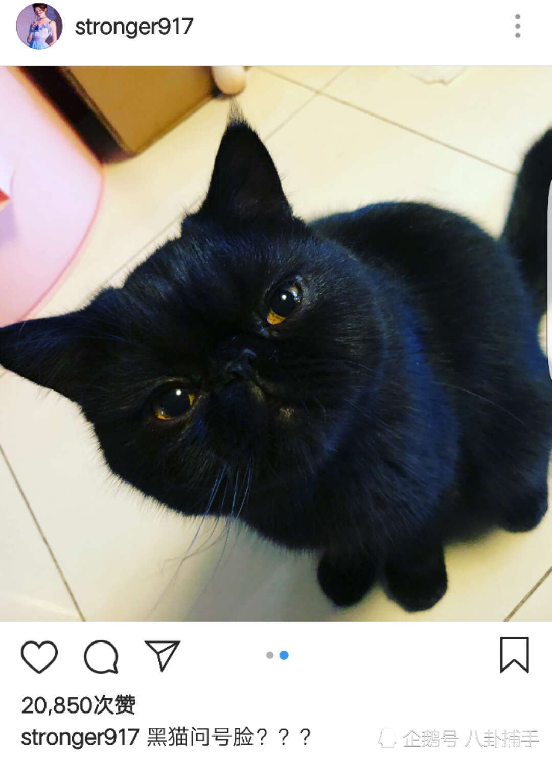 ¹�Ϲ���ͮ����΢������ô������������ ¹�Ϲ���ͮ������Ϣ