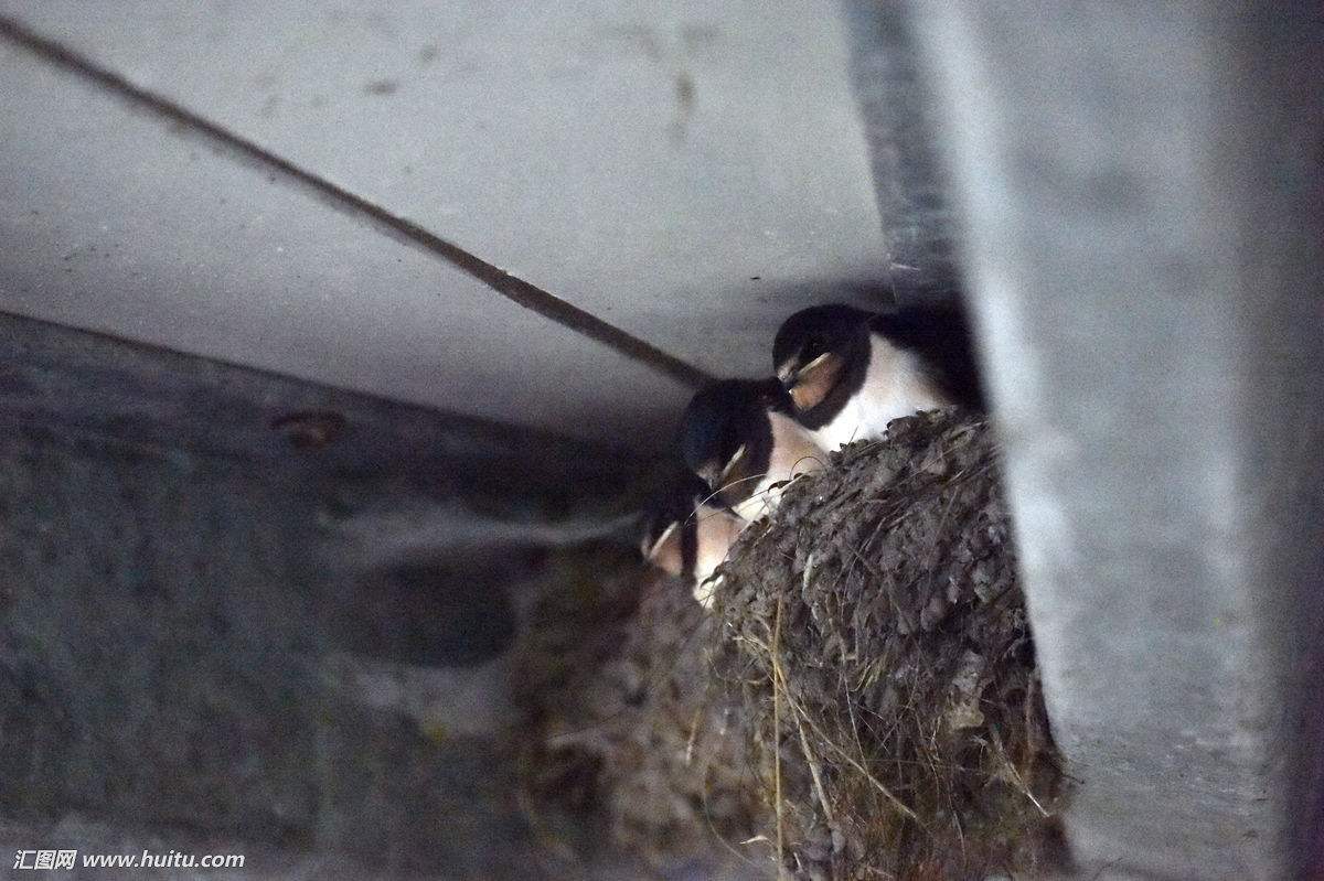 �����Ϸɵ������������ֲ���ļ�β���� ԭ����һ���ô��ʳ