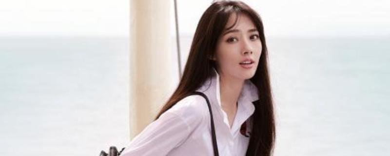 �������ǻ�Ѫ����