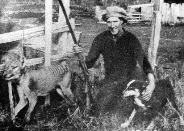 ���ǳ�����������˵�ֱ����·�����Ƶ ���ǵ�����ȫ�ſ�������