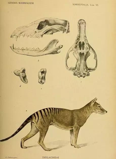 ���ǳ�����������˵�ֱ����·�����Ƶ ���ǵ�����ȫ�ſ�������