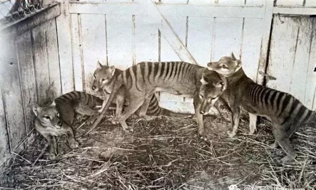 ���ǳ�����������˵�ֱ����·�����Ƶ ���ǵ�����ȫ�ſ�������