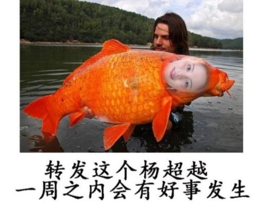 �Խ������ʲô����ô���ͼ Ϊʲô˵�Խ�ǽ���