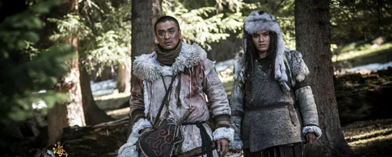 ˶���Ҷ����������