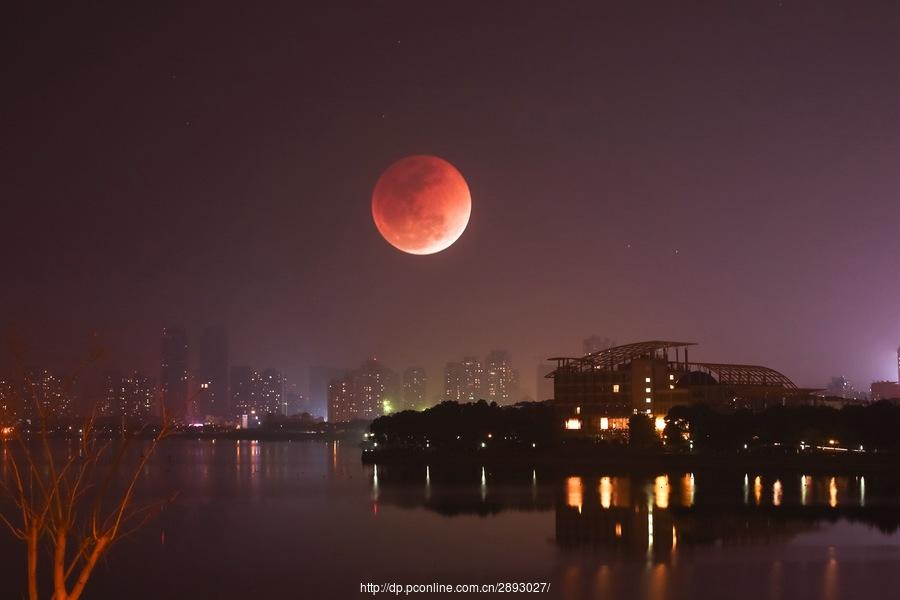 ����Ѫ����ζ������������ҪС�� Ѫ�³���ʱ���������ϧ