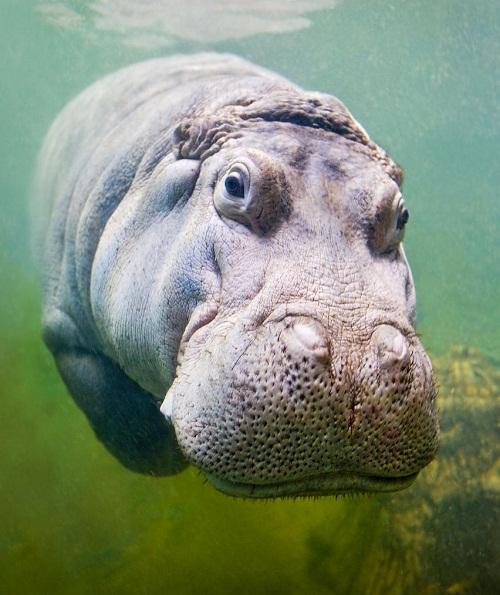 �����������ʲô����������ϲ��� ����Ϊʲô�򲻹�Ҳ���Ժ���