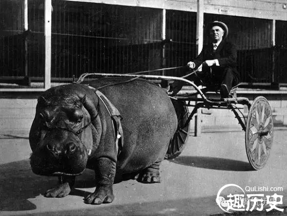 �����������ʲô����������ϲ��� ����Ϊʲô�򲻹�Ҳ���Ժ���