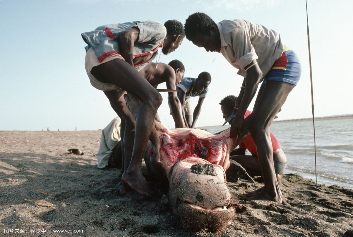 �����������ʲô����������ϲ��� ����Ϊʲô�򲻹�Ҳ���Ժ���