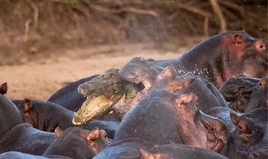 �����������ʲô����������ϲ��� ����Ϊʲô�򲻹�Ҳ���Ժ���