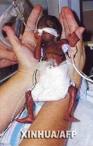 �����ϻ����õ������������櫡�̩�տ����漣 �����ɰ�����