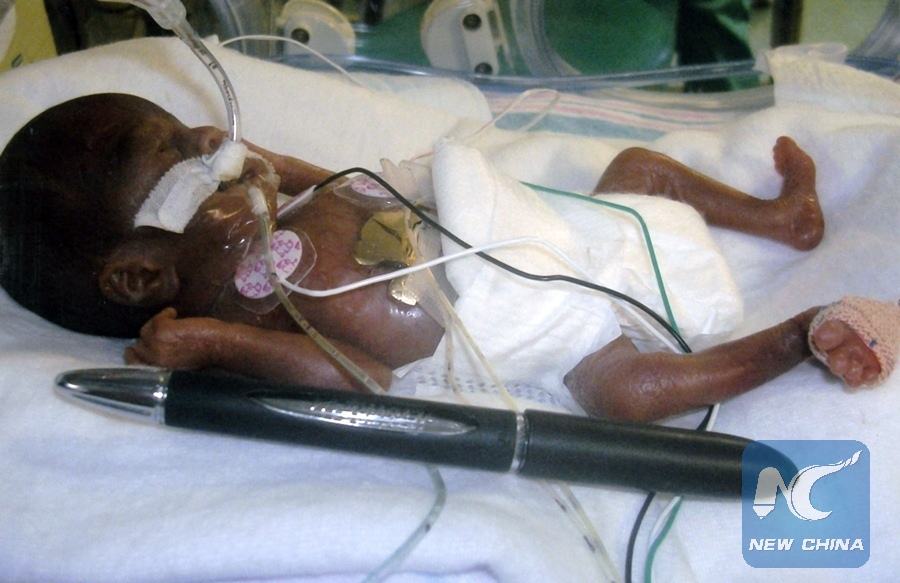 �����ϻ����õ������������櫡�̩�տ����漣 �����ɰ�����