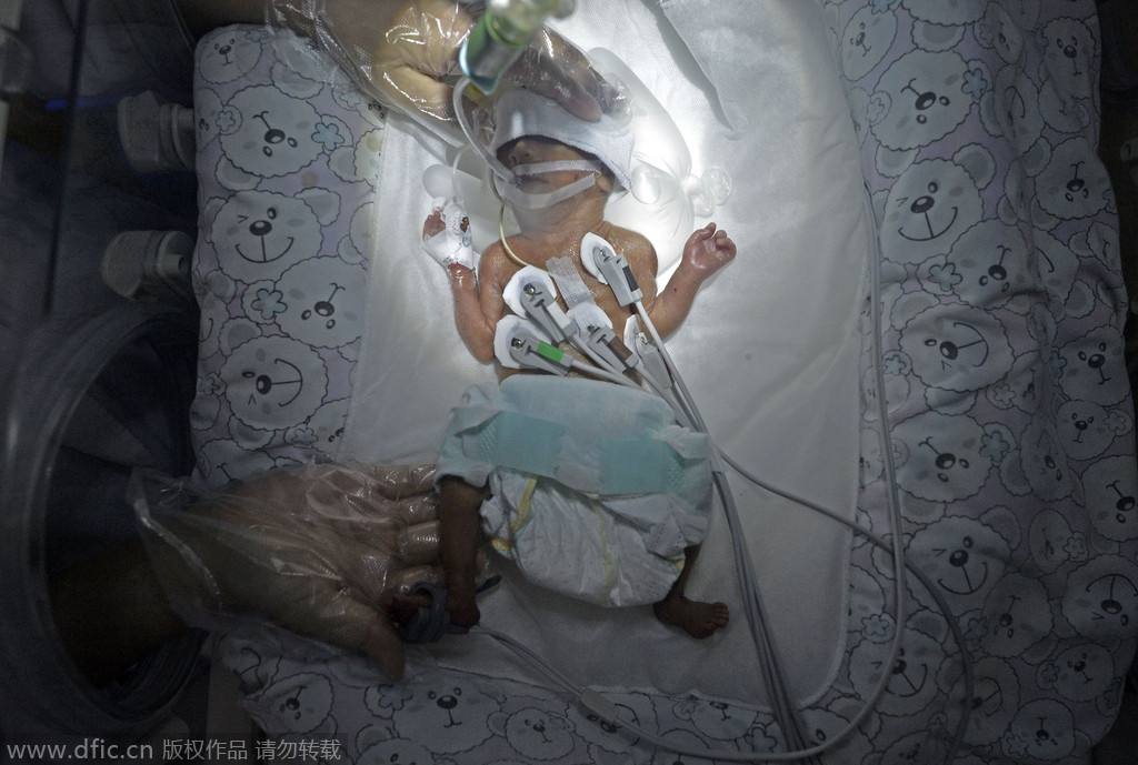 �����ϻ����õ������������櫡�̩�տ����漣 �����ɰ�����