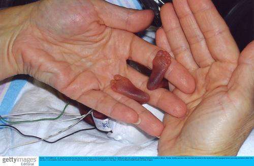 �����ϻ����õ������������櫡�̩�տ����漣 �����ɰ�����