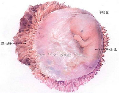 �ӹ��Ľṹͼ �뿴Ů���ӹ���ʲô���ӹ��ṹͼƬ����һĿ��Ȼ