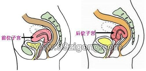 �ӹ��Ľṹͼ �뿴Ů���ӹ���ʲô���ӹ��ṹͼƬ����һĿ��Ȼ