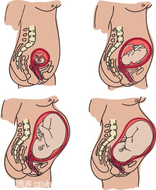 �ӹ��Ľṹͼ �뿴Ů���ӹ���ʲô���ӹ��ṹͼƬ����һĿ��Ȼ