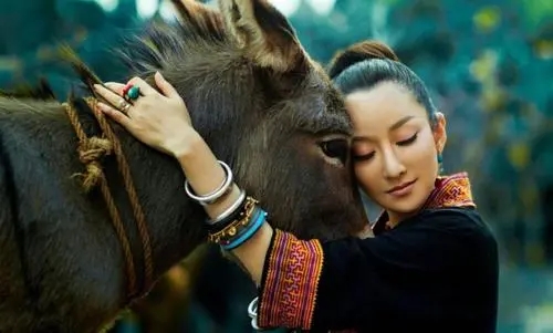 ����Ϊɶ������������ ������Ϊʲô��������ǰ������