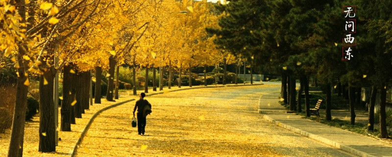 ����������Ӱ��ʲô��˼