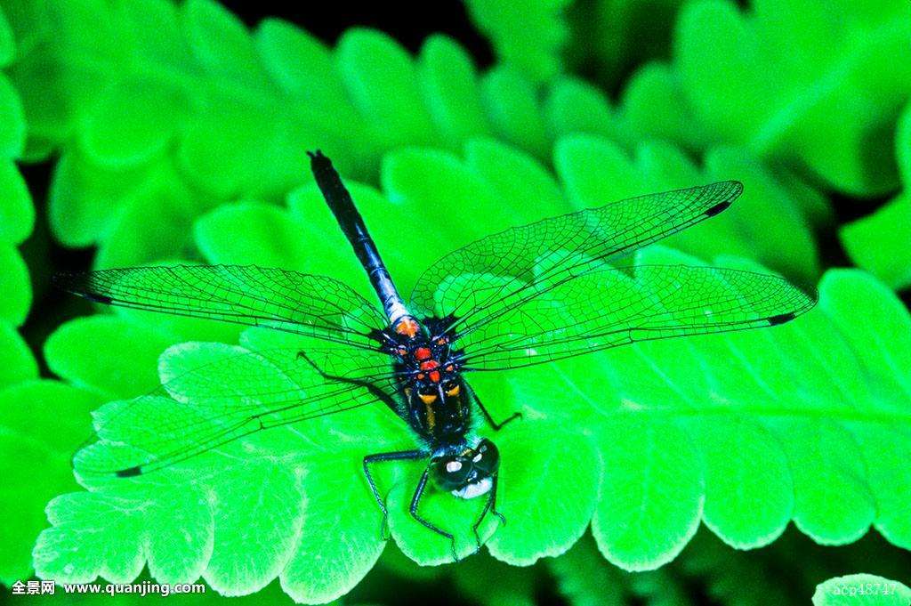 ��������������û��˭���������µ� �������ѵĵط�ˮ��ֱ�Ӻ�