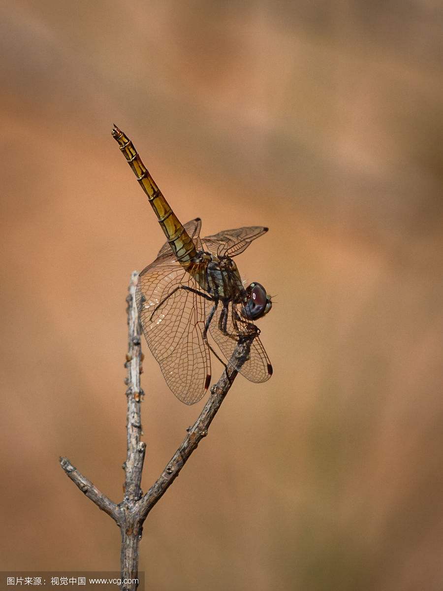 ��������������û��˭���������µ� �������ѵĵط�ˮ��ֱ�Ӻ�