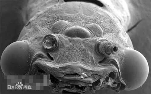 ��������������û��˭���������µ� �������ѵĵط�ˮ��ֱ�Ӻ�