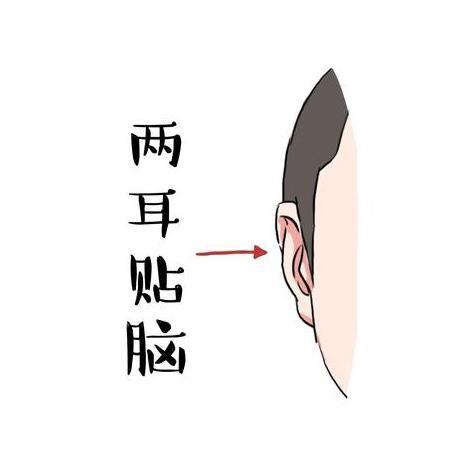 什么耳朵有福气图片 有这几种耳朵的人一生都不缺钱