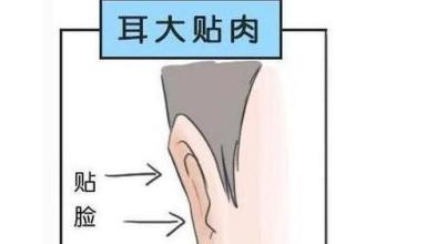 什么耳朵有福气图片 有这几种耳朵的人一生都不缺钱