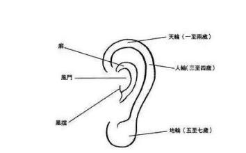 什么耳朵有福气图片 有这几种耳朵的人一生都不缺钱