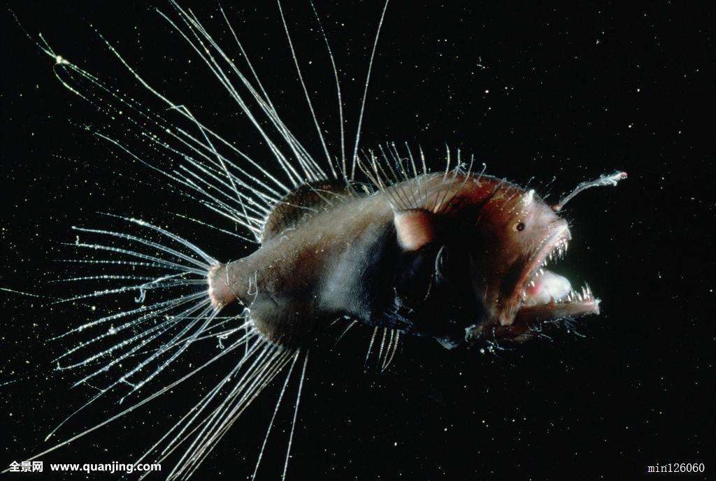 ��������ô���������� �����ʱ�����������³��òҹ���ʵ��ͼ