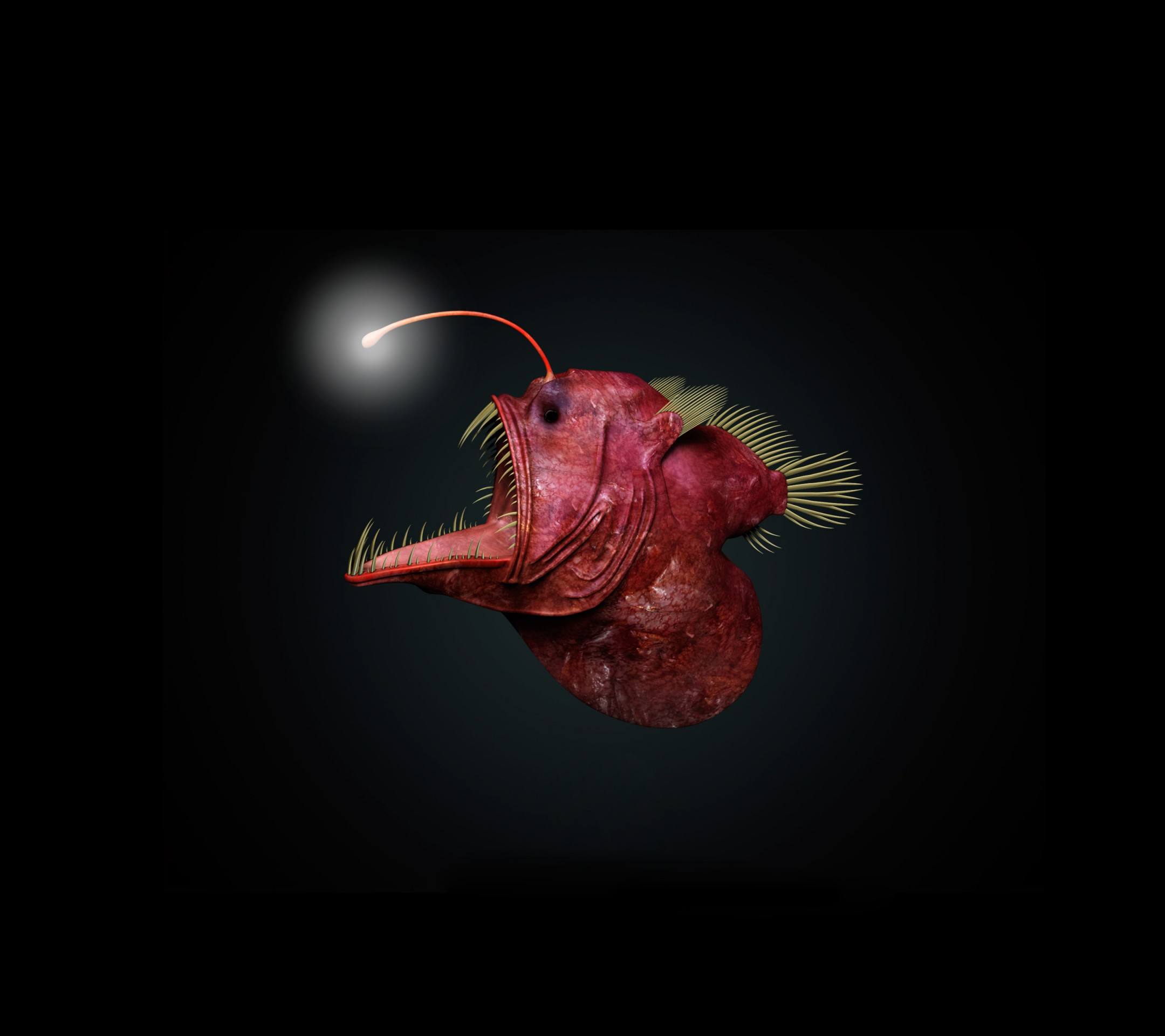 ��������ô���������� �����ʱ�����������³��òҹ���ʵ��ͼ