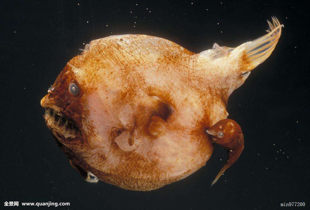 ��������ô���������� �����ʱ�����������³��òҹ���ʵ��ͼ