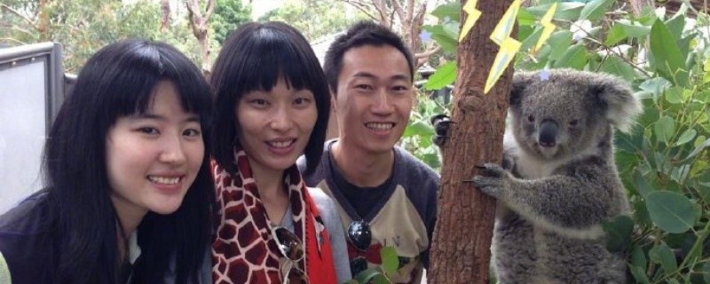 �������������ʲô��˼