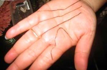 �˳��������ָ�˿ŮŬ�������峤��˿ͼƬ ���칦���˵���ʵ�¼�