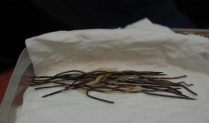 �˳��������ָ�˿ŮŬ�������峤��˿ͼƬ ���칦���˵���ʵ�¼�