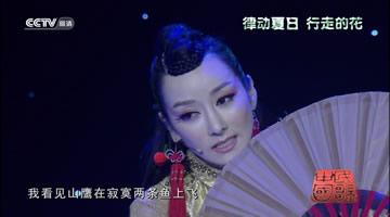 ������Ϊʲô��������������ô���˿ֲ� ������ԭ����ʲô������