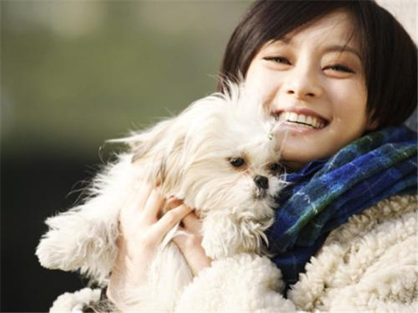 孙俪的微博名为什么叫turbosun什么意思 孙俪微博为什么不加v认证