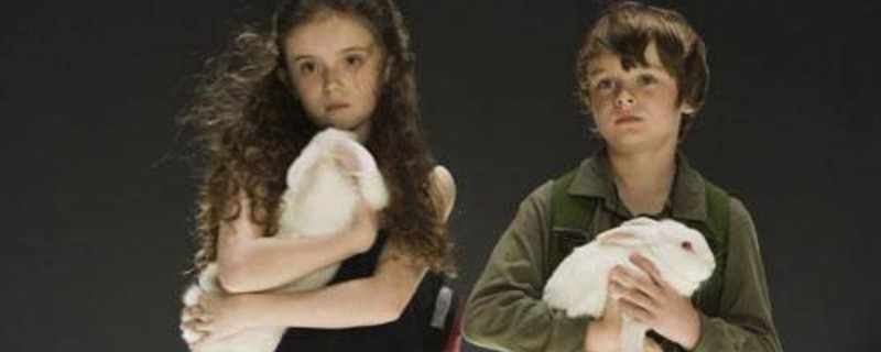 ���ش����ֽ��