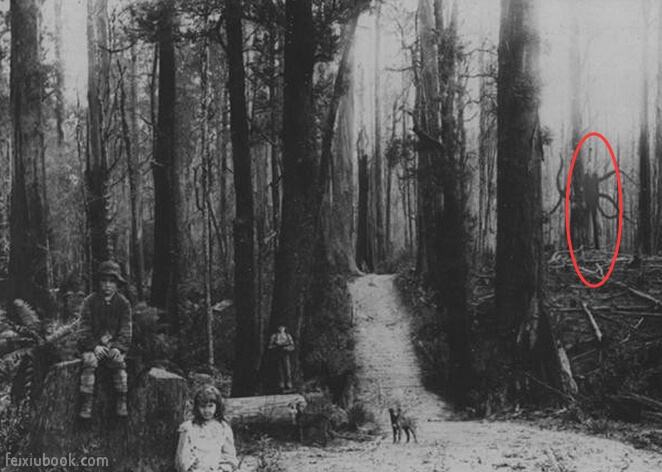 ɱͯ��ħ�ݳ���Ӱslender man���й����� û����ٳ���̫������